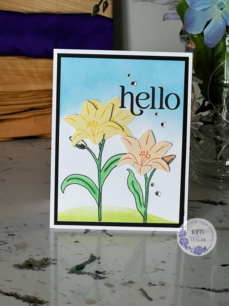 kim taylor-sss feb-2